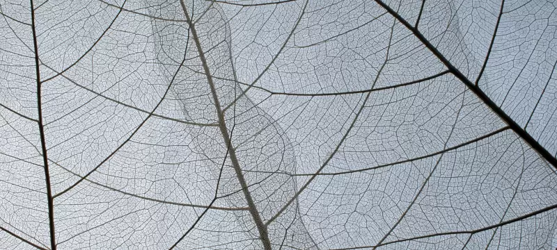 Texture 1